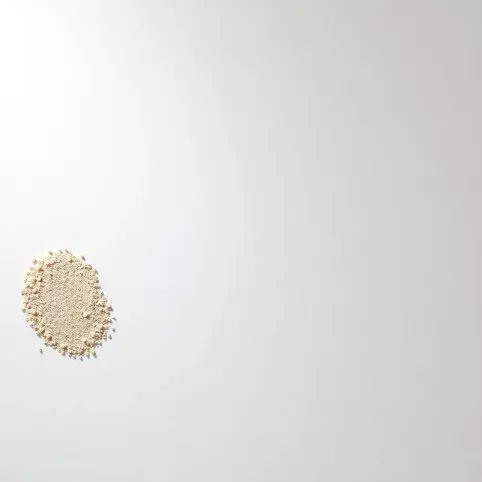 Jaką siatka szlifować gładź