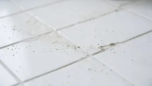 po jakim czasie myć fuge